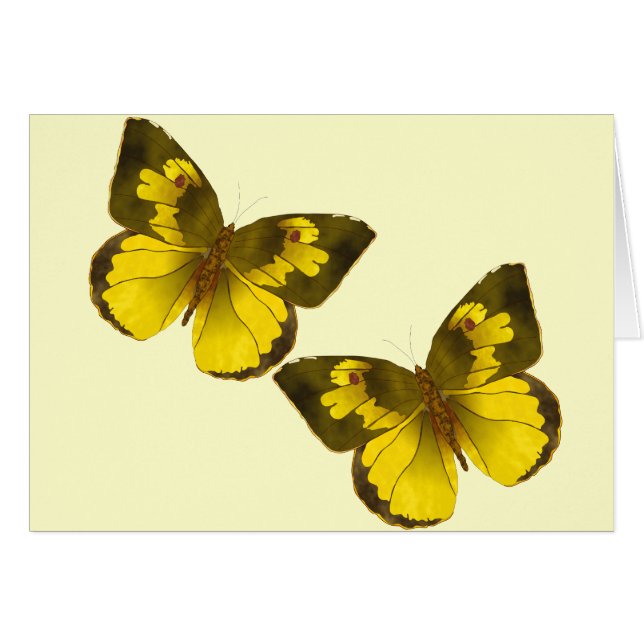 Lovely Golden Butterflies (Front Horizontal)