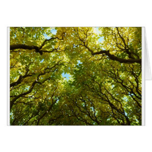 Lovely golden trees card