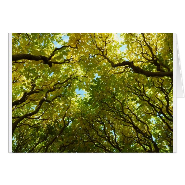 Lovely golden trees card (Front Horizontal)