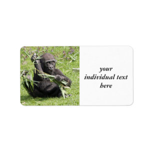 Lovely Gorilla Baby Label