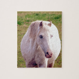 Lovely Gray Pony Jigsaw Puzzle