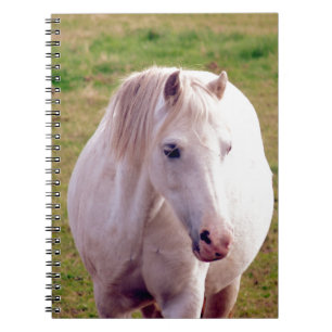 Lovely Grey Pony Spiral Notebook
