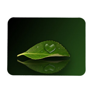 Lovely Heart-Shaped Water Droplet on Leaf Magnet
