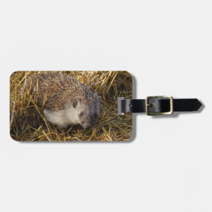 Lovely Hedgehog In Stubble Field Luggage Tag