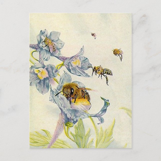 LOVELY HONEYBEES NATURE BEEKEEPERS HONEY POSTCARDS (Front)
