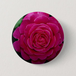 Lovely Hybrid Tea Rose 'Tiffany'leaves 6 Cm Round Badge