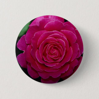 Lovely Hybrid Tea Rose 'Tiffany'leaves 6 Cm Round Badge