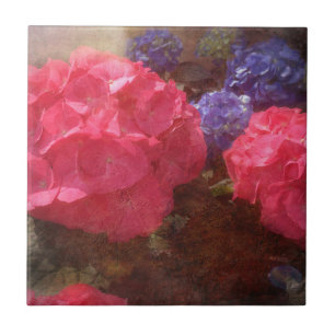 Lovely Hydrangea  Tile