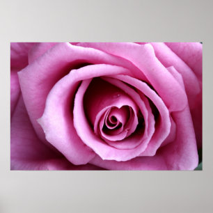 Lovely in lilac poster