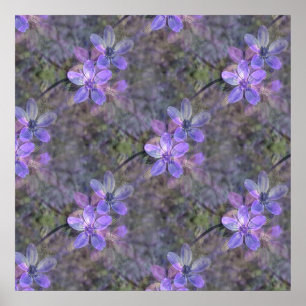 Lovely in Spring.. Poster