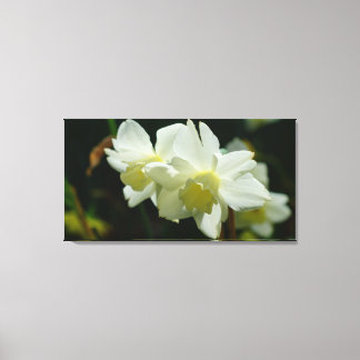 Lovely in White Canvas Print