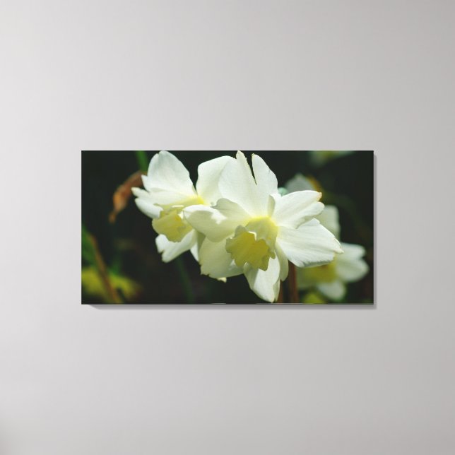 Lovely in White Canvas Print (Front)