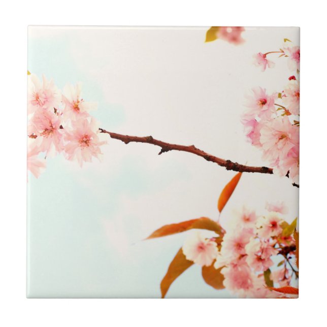 Lovely Japanese cherry blossom Tile (Front)