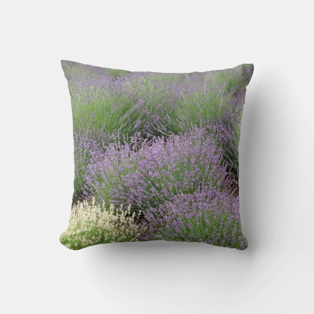 Lovely Lavender Cushion (Front)