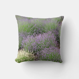 Lovely Lavender Cushion