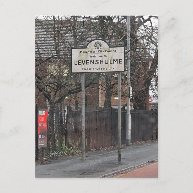 Lovely Levy Postcard (Front)