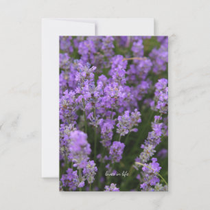 Lovely Light Lavender Card