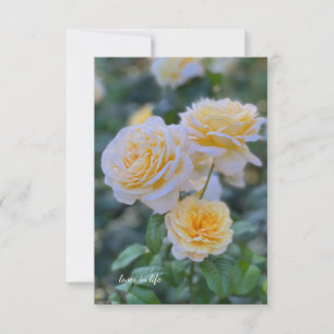 Lovely Light Yellow Roses Card
