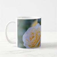 Lovely Light Yellow Roses
