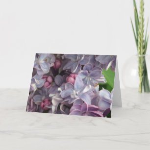 Lovely Lilac Greetings Card