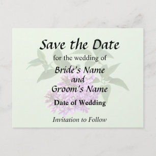 Lovely Lilacs Announcement Postcard