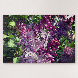 Lovely Lilacs Bloom in Ohio Springtime Jigsaw Puzzle
