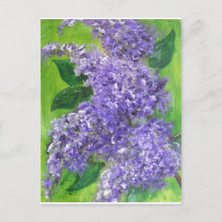 Lovely Lilacs Postcard