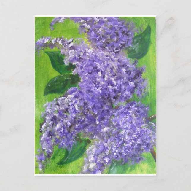 Lovely Lilacs Postcard (Front)