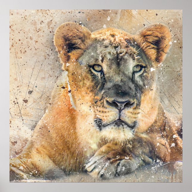 Lovely Lioness Photography Modern Watercolor Poster (Front)