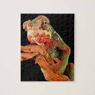 Lovely Lizard Chameleon Puzzle