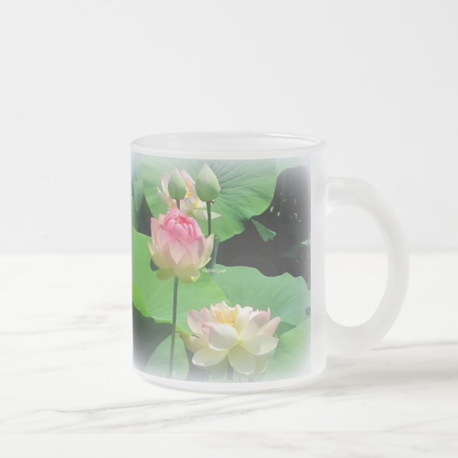 Lovely Lotus Flower & Bud Frosted Glass Frosted Glass Coffee Mug (Right)