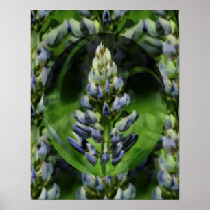 Lovely Lupine Abstract Floral Art Poster