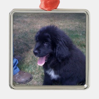 Lovely Newfie puppy (Newfoundland dog breed) Metal Tree Decoration