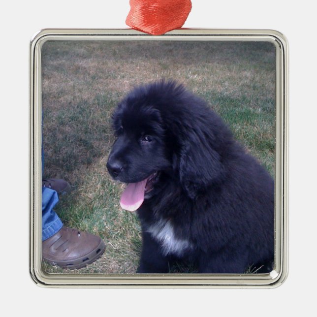 Lovely Newfie puppy (Newfoundland dog breed) Metal Tree Decoration (Front)