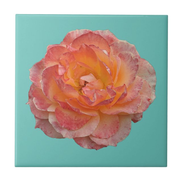 Lovely orange peony tile (Front)