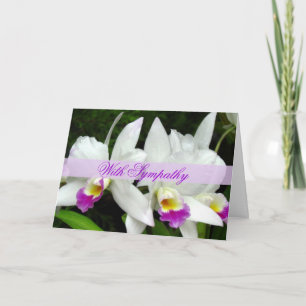 Lovely Orchids Sympathy Card