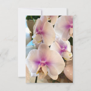 Lovely Orchids Thank You Card