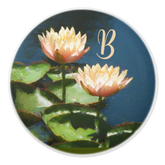Lovely Peach Pink Blue Floral Monogram Drawer Ceramic Knob