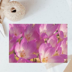 Lovely PInk Autumn Crocuses Floral Tissue Paper