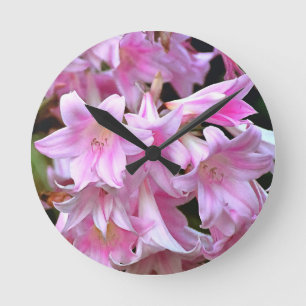 Lovely Pink Belladonna Amaryllis Lilies Round Clock