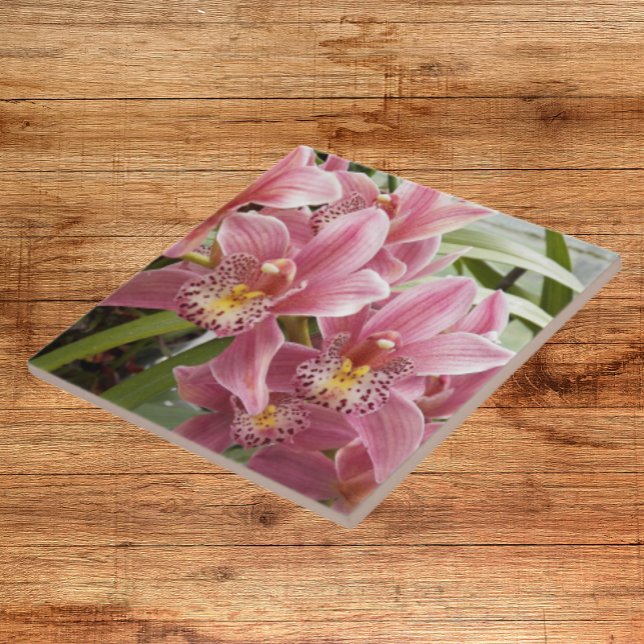 Lovely Pink Cymbidium Orchids Floral Tile (In Situ)