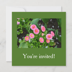 Lovely pink garden daisy flowers birthday, bridal invitation