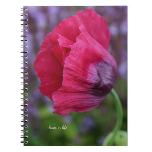 Lovely PInk & Purple Poppy Flower Notebook