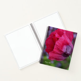 Lovely PInk & Purple Poppy Flower Notebook