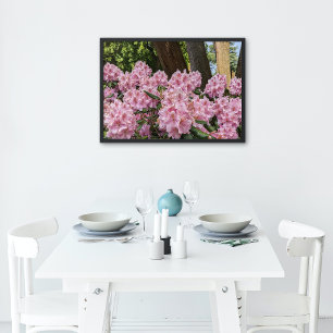 Lovely Pink Rhododendron Blooms Floral Poster