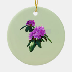 Lovely Pink Rhododendrons Ceramic Tree Decoration