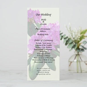 Lovely Pink Rhododendrons Programme