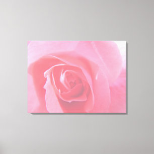 Lovely pink rose flower macro picture. canvas print
