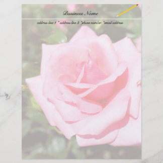 lovely pink rose flower with sweet hearts