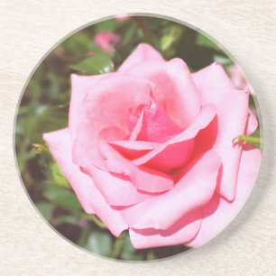 lovely pink rose flower with sweet hearts coaster